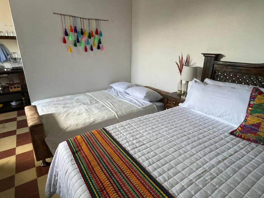 T3 Just 3 Blocks From The Park Apartment Antigua