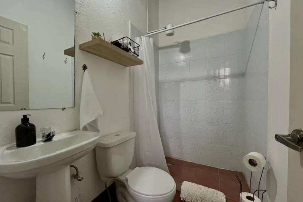 T3 Just 3 Blocks From The Park * Antigua